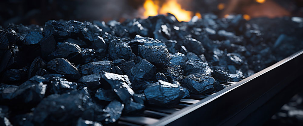 Carbón en barbacoa de obra